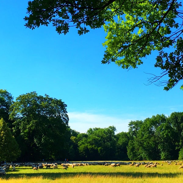 Photos At Englischer Garten Nordteil Alte Heide Hirschau