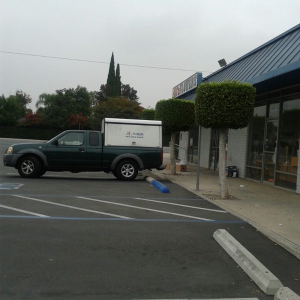 M's Flowers 1 tip from 24 visitors