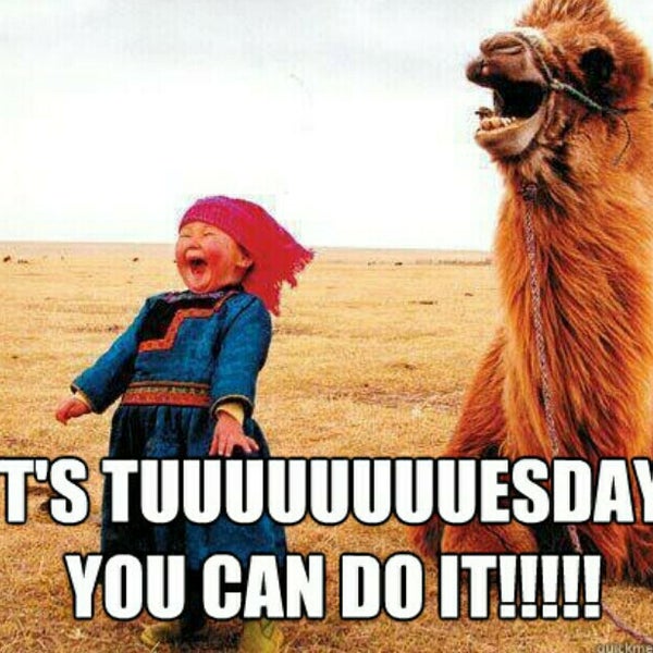 Sexy Tuesday Meme