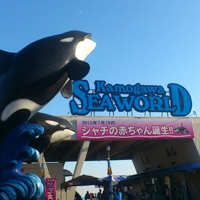 鴨川シーワールド 東町1464 18
