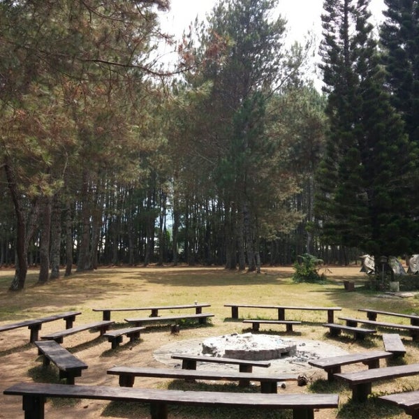 Forest Camp Акташ