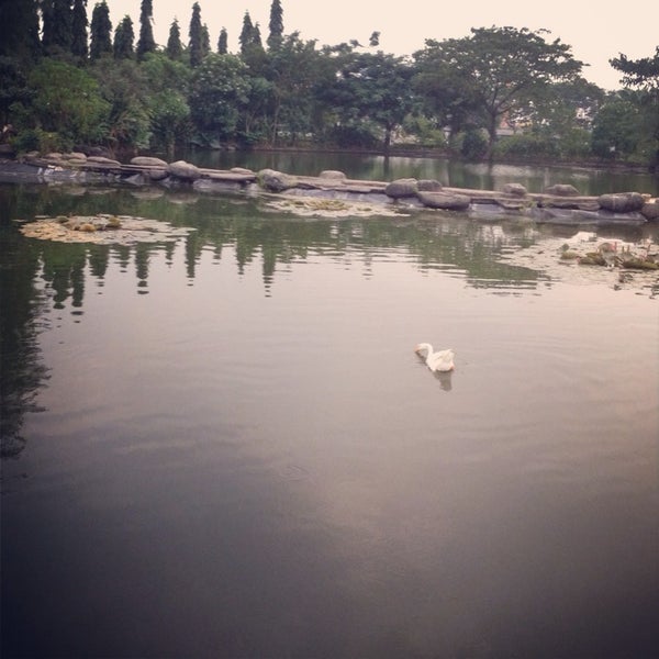 Photos At Taman Angsa Pakuwon City Lake