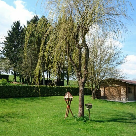 Photos At Termes Province De Luxembourg Province De Luxembourg