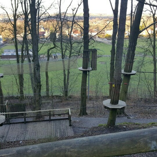 Go Ape Buxton 2 Tips From 85 Visitors