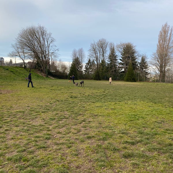 Rogers Park Dog Park in Eastside