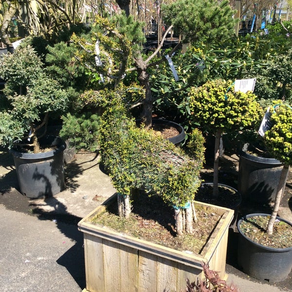 Watson's Greenhouse & Nursery 6211 Pioneer Way E