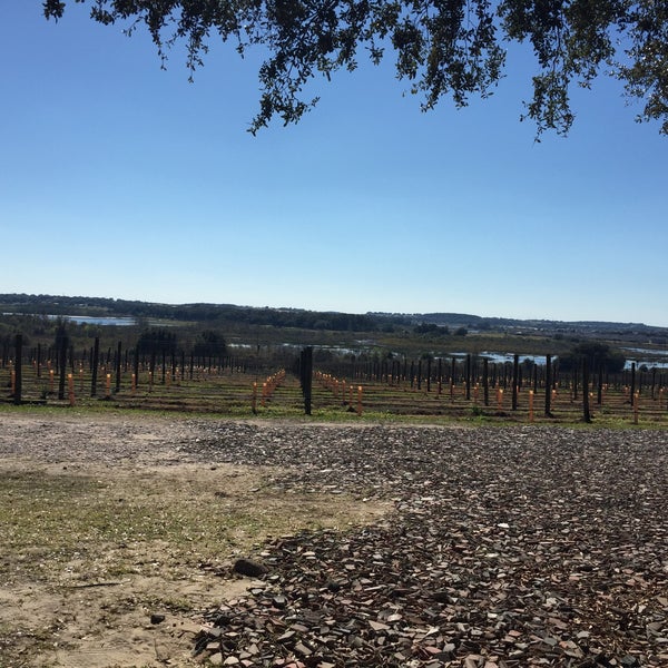 Photo taken at Lakeridge Winery &amp; Vineyards by Nichole S. on 2/13/2016