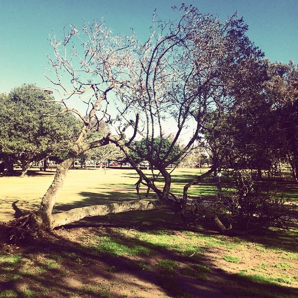 Photos at Huntington Beach Disc Golf Park 10 tips from 372 visitors