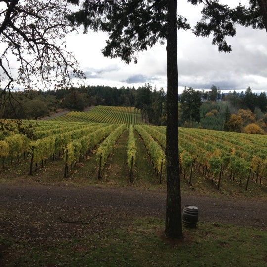 Foto diambil di Vista Hills Vineyard &amp; Winery oleh Kristin A. pada 10/29/2012