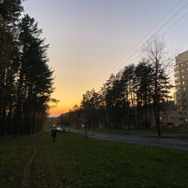 Улица с соснами. Санаторий сосны минская область. Минск сосновый. Санаторий сосны управделами президента беларусь. Тамбовская область пансионат сосны.