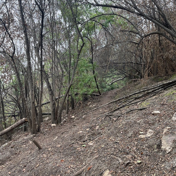 Caminata por el Parque Metropolitano