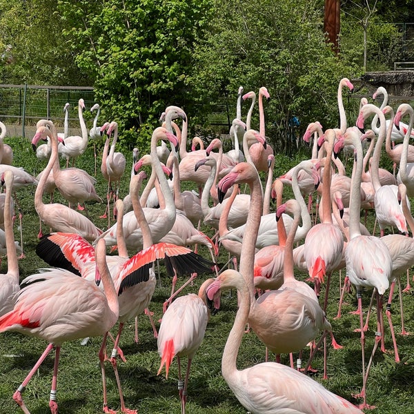 Das Foto wurde bei Zoo Basel von Kevin I. am 4/29/2023 aufgenommen