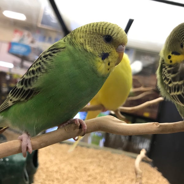 Photos at PetSmart 5500 Greenville Ave