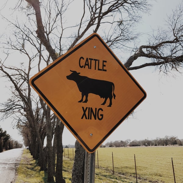 Erwin Park 4300 CR 1006