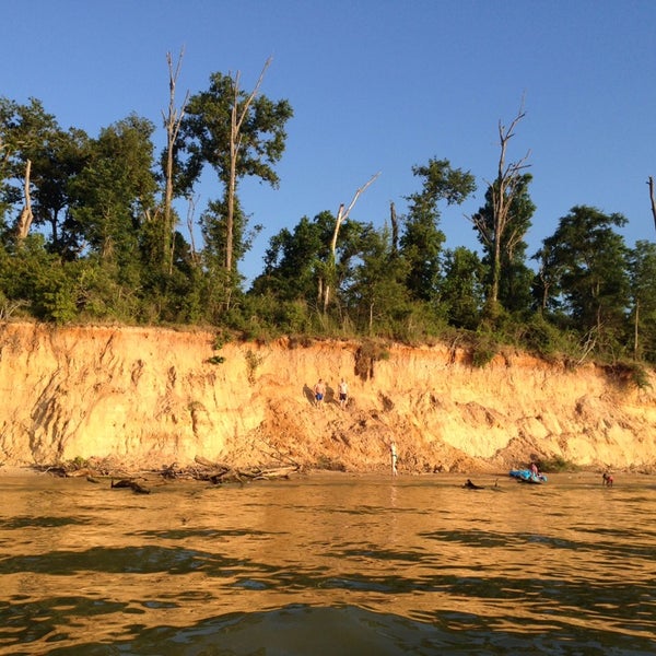 Pine Island Middle of Lake Livingston