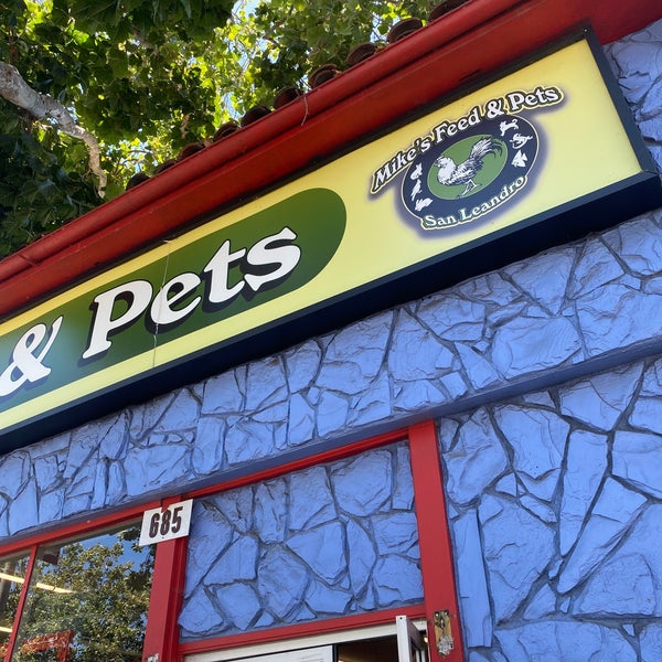 Mike's pet top and feed