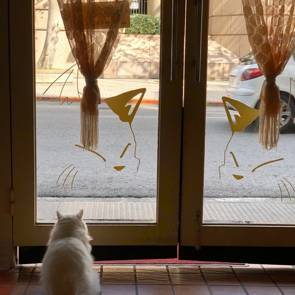 Photos At 小貓花園 Cafe In 士林區