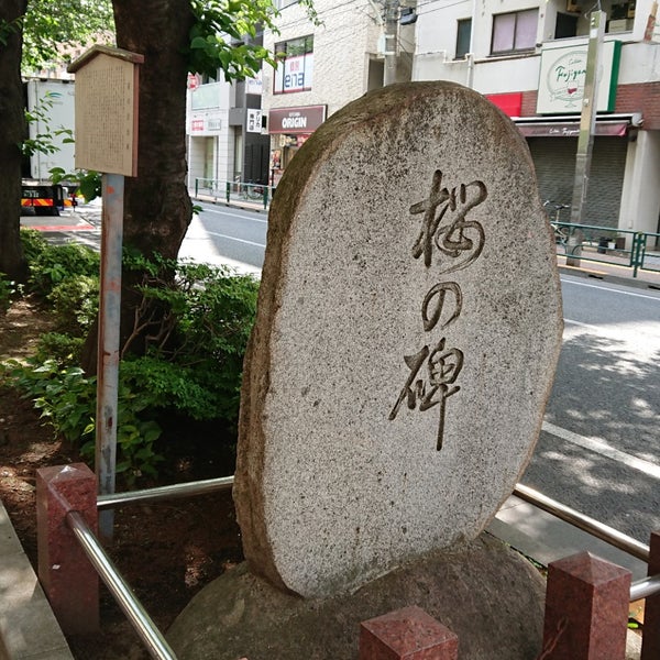 Photos At 千川上水 桜の記念碑 Memorial Site