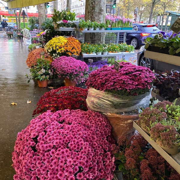 Fleurs d'Auteuil - Flower Shop in Auteuil