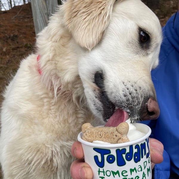 Jordan's Ice Cream Heladería en Belmont