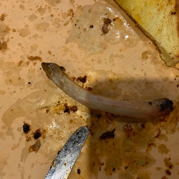 Kensington Grill New Hudson, MI