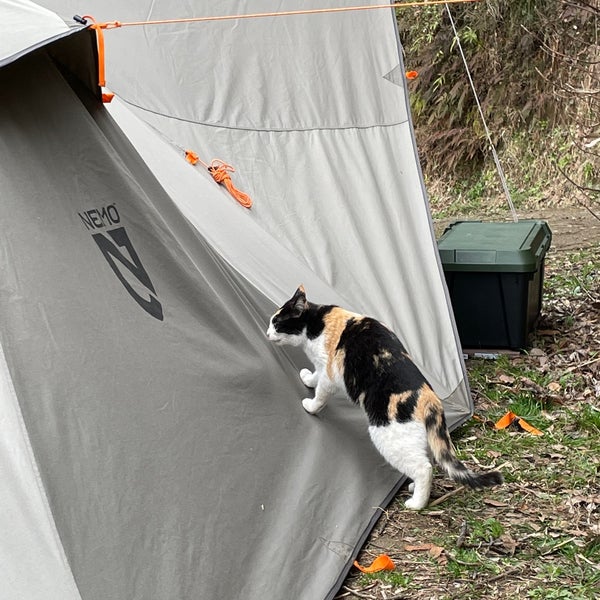 Photos At 花はなの里オートキャンプ場 富津市 千葉県 Photos At 花はなの里オートキャンプ場 富津市 千葉県