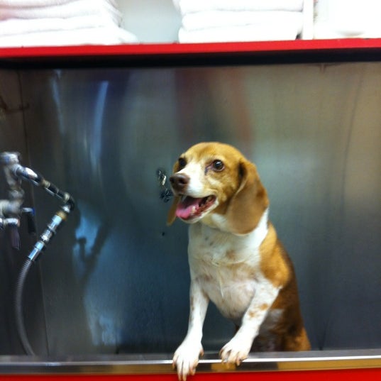 Feeders Supply Pet Store in East Louisville