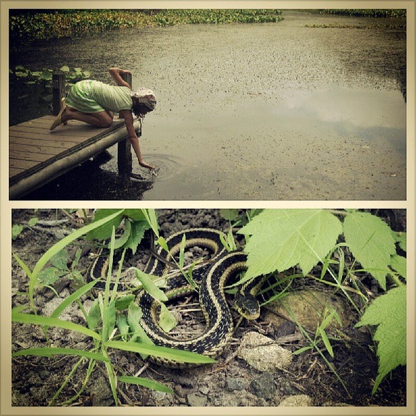 Снимок сделан в Tenafly Nature Center пользователем Ed H. 7/21/2013