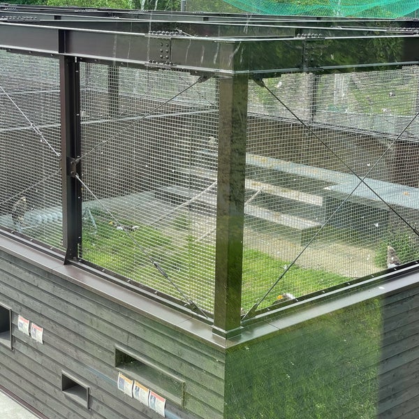 Photos At 釧路湿原野生生物保護センター