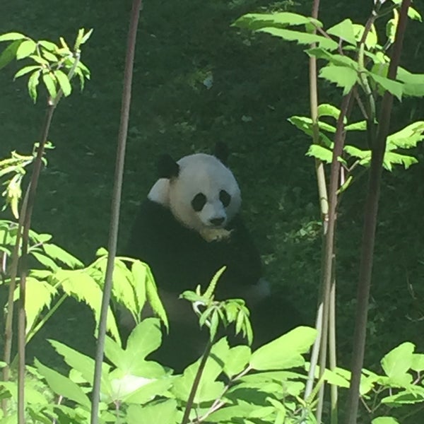 Photo taken at Smithsonian’s National Zoo by michael j. on 5/22/2015