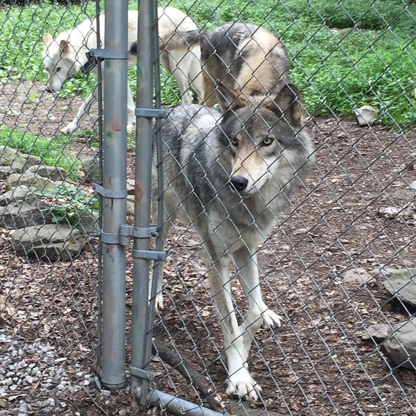 Foto diambil di Camp Taylor &amp; Lakota Wolf Preserve oleh Deborah S. pada 7/21/2015