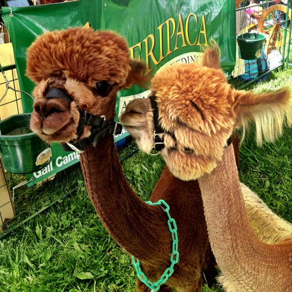 howard-county-fairgrounds-5-tips