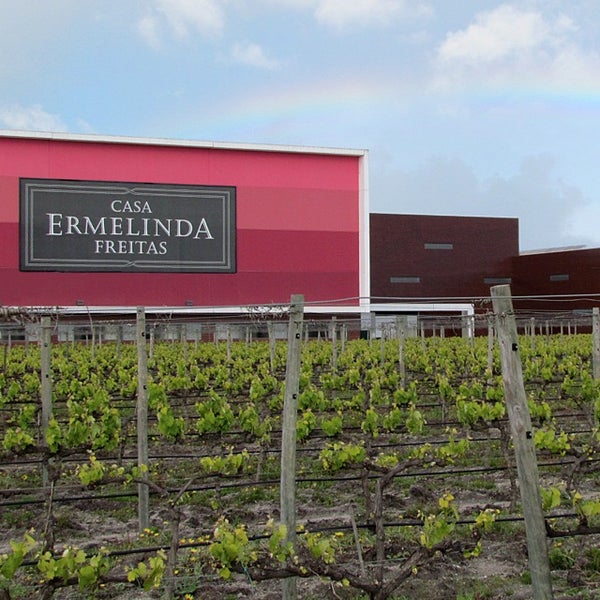 รูปภาพถ่ายที่ Casa Ermelinda Freitas โดย Paulo L. เมื่อ 4/2/2014
