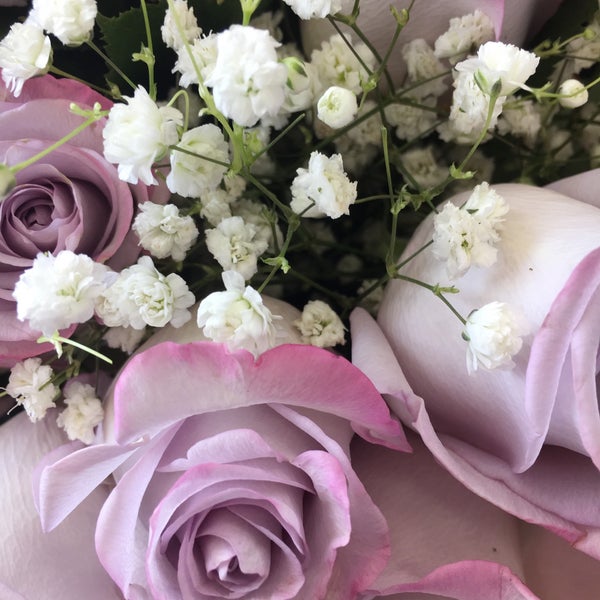 Produce Junction Glenside, PA