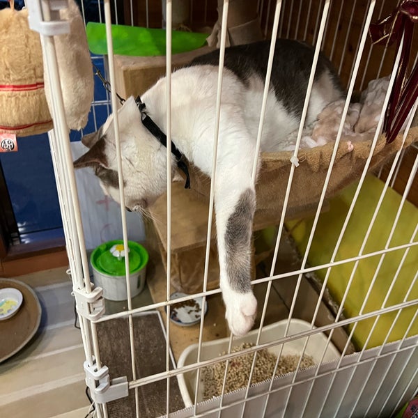 Photos At 温泉民宿 大村屋 田辺市 和歌山県