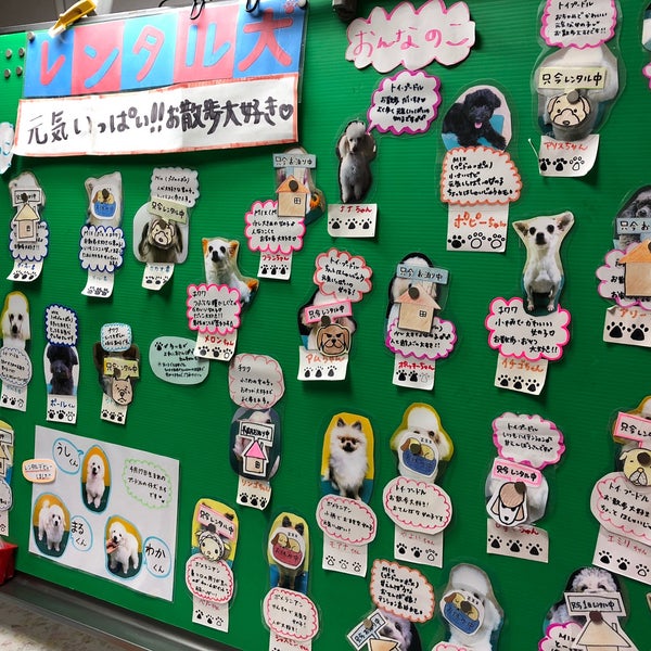 Photos At 愛犬美容学校 横浜トリミングスクール 新横浜 2 Tips From 25 Visitors