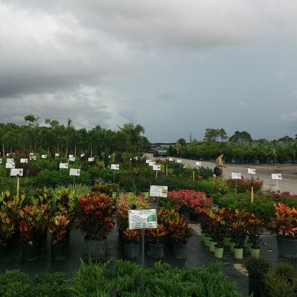 Mariposa Nursery Lakewood Ranch Bradenton, FL