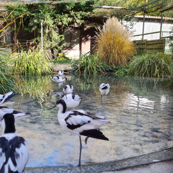 Wildpark Reuschenberg Zoo in Leverkusen