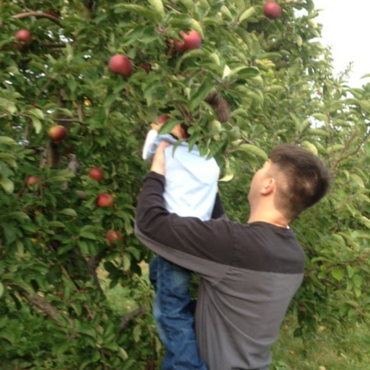 10/7/2012 tarihinde Lillian S.ziyaretçi tarafından Applecrest Farm Orchards'de çekilen fotoğraf