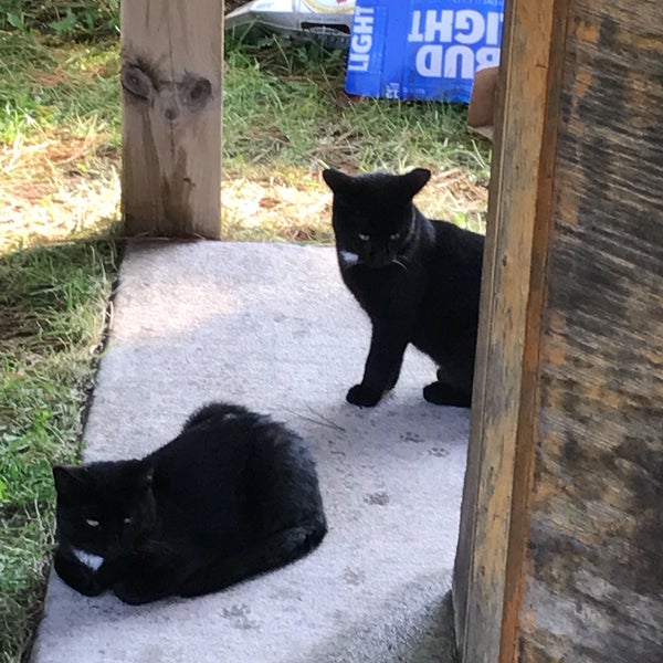 Nickerson Bar Nickerson, MN