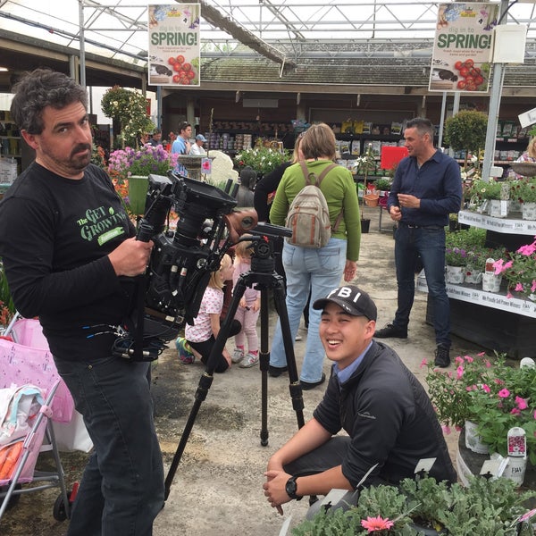Photos At Kings Plant Barn Takanini South Auckland 1 Tip