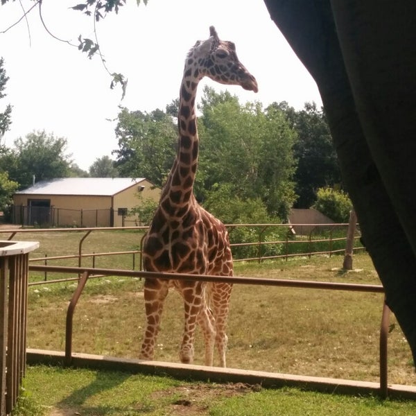 Photo taken at Roosevelt Park Zoo by Debra L. on 8/9/2014