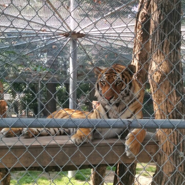 Photo taken at Roosevelt Park Zoo by Debra L. on 8/9/2014
