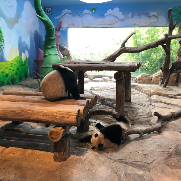 панда центр вологда