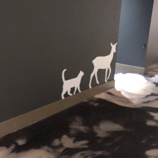 Star Cinema Grill Movie Theater in Conroe