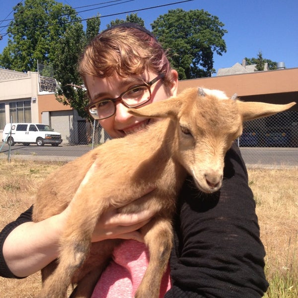 Photo taken at The Belmont Goats by Laura H. on 6/9/2013