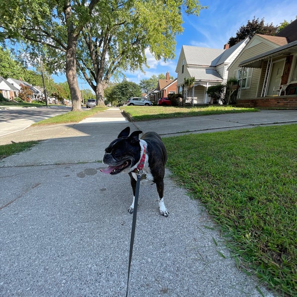 Photos at WhitmoreBolles Park Park in Dearborn