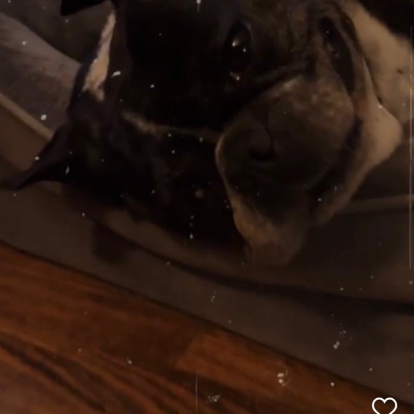 Photos at WhitmoreBolles Park Park in Dearborn