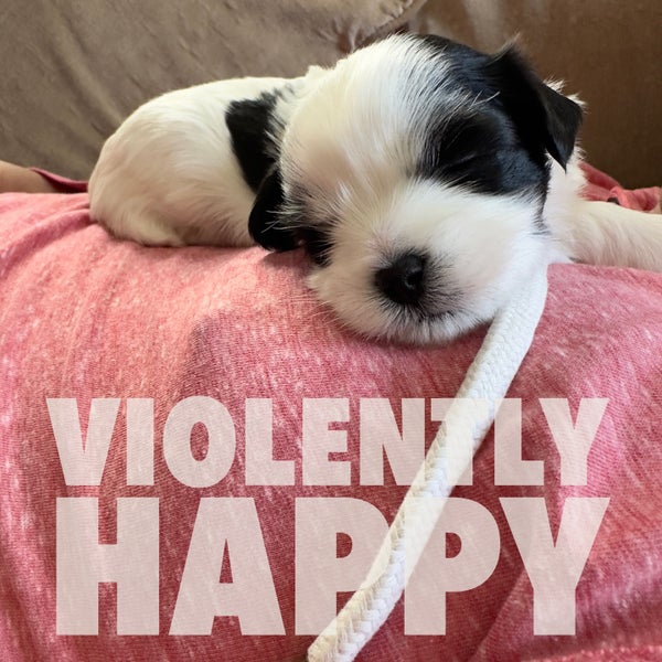 Photos at WhitmoreBolles Park Park in Dearborn