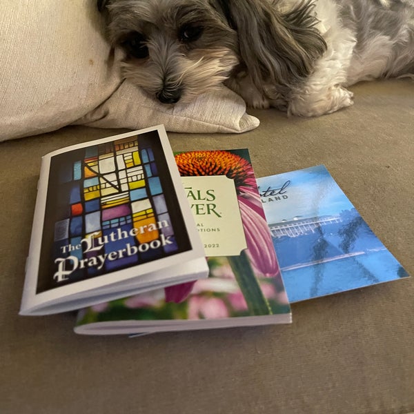 Photos at WhitmoreBolles Park Park in Dearborn